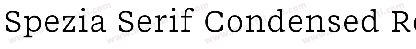 Spezia Serif Condensed Regular D字体转换